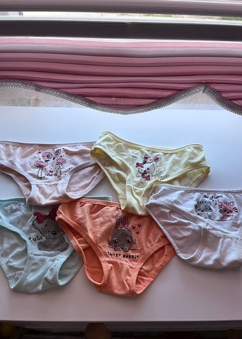 Çocuklar 5 li için Pastel Renkli Baskılı Külot Seti - Görsel 3