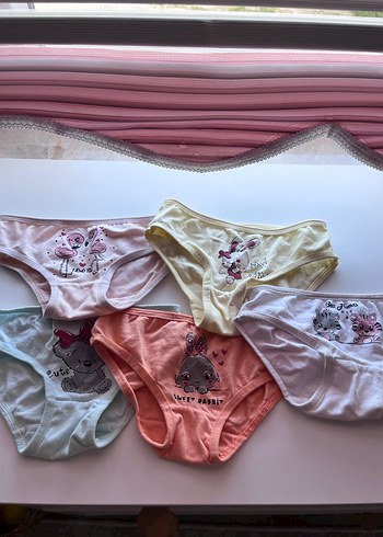 Çocuklar 5 li için Pastel Renkli Baskılı Külot Seti - Görsel 2