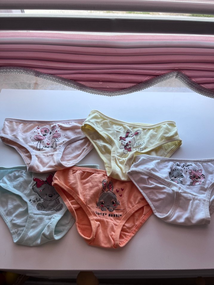 Çocuklar 5 li için Pastel Renkli Baskılı Külot Seti - Görsel 3