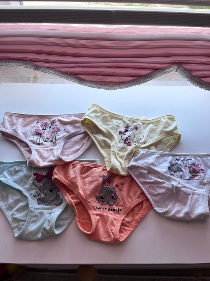 Çocuklar 5 li için Pastel Renkli Baskılı Külot Seti - Görsel 2