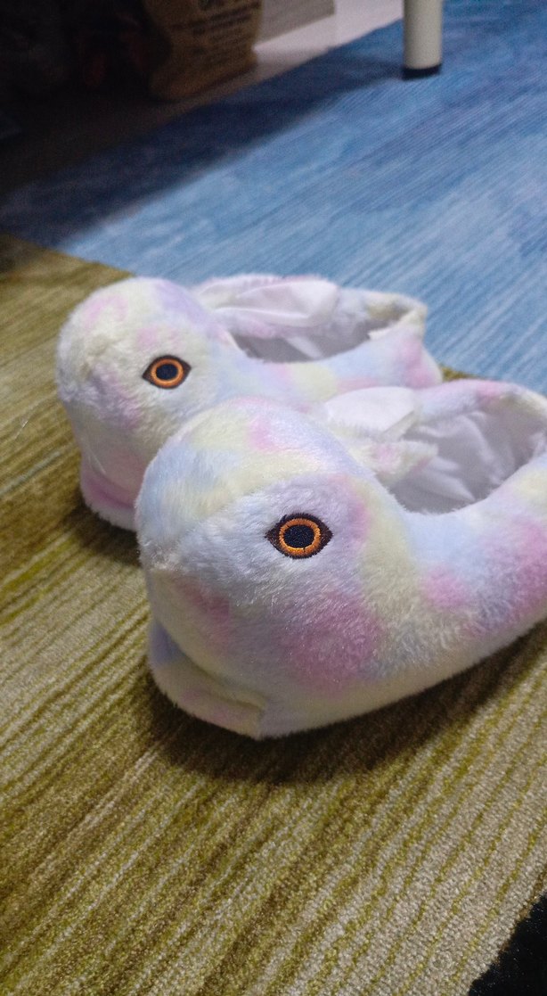 Kızlar için Bağcıklı Çok Renkli Peluş Terlik - Görsel 2