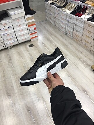 Puma kalı
