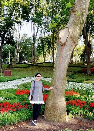 Alvina Tunik 