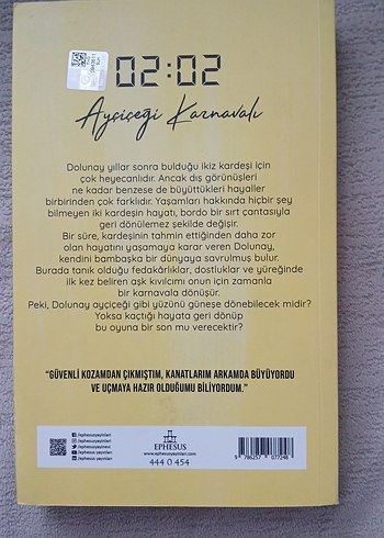 Ayçiçeği Karnavalı - N.G. Kabal - Görsel 2