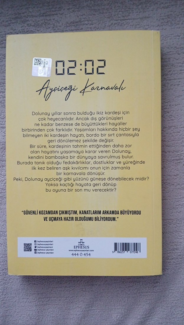 Ayçiçeği Karnavalı - N.G. Kabal - Görsel 2