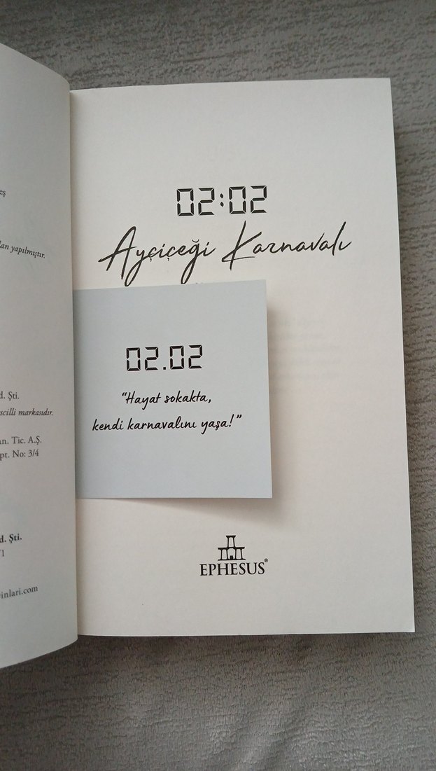 Ayçiçeği Karnavalı - N.G. Kabal - Görsel 3