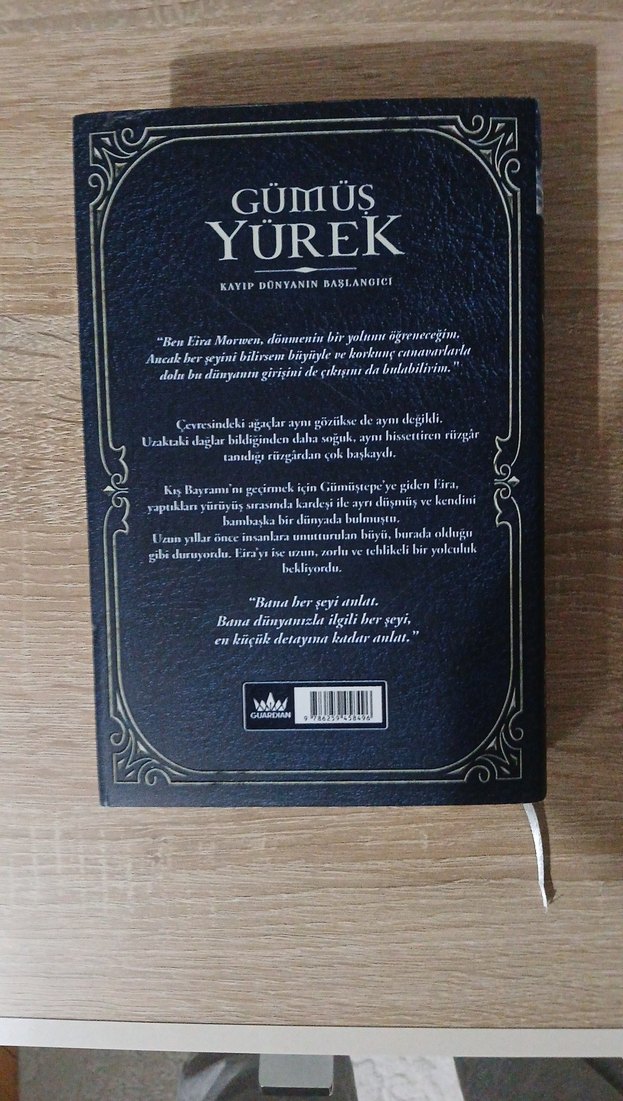 Gümüş Yürek - Kayıp Dünyanın Başlangıcı - Görsel 3