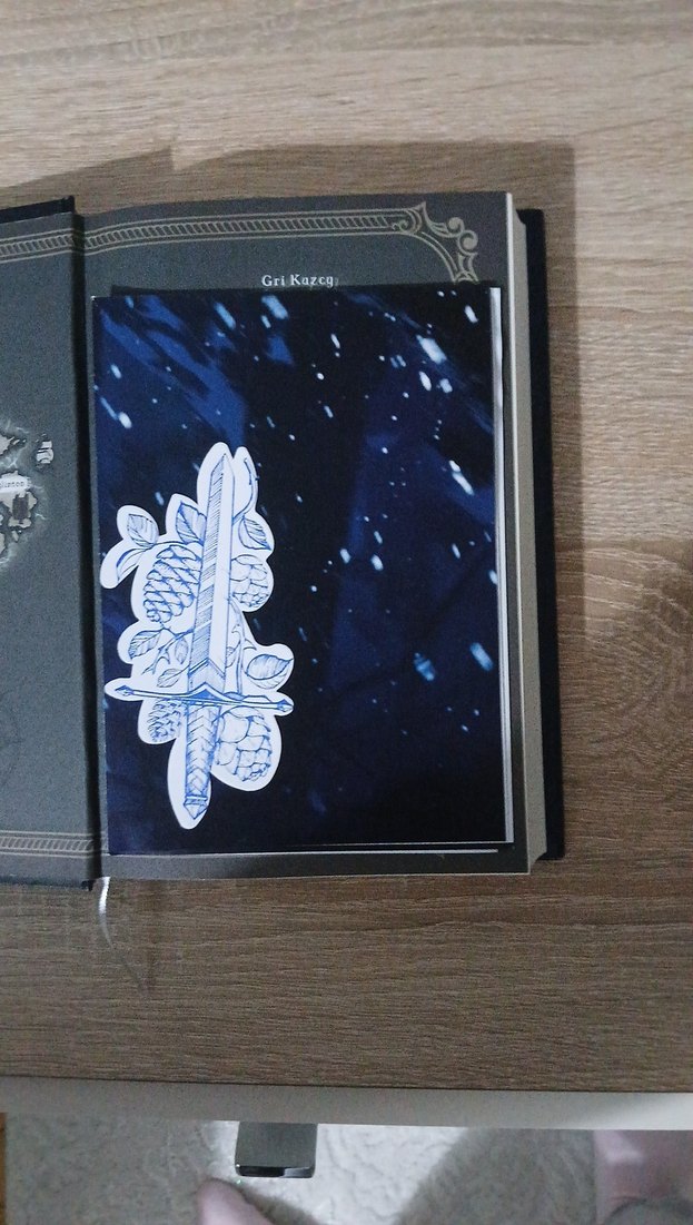 Gümüş Yürek - Kayıp Dünyanın Başlangıcı - Görsel 4