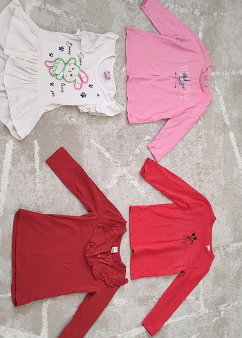 LC Waikiki Uzun Kollu Nakışlı Renkli Kız Tişörtü
