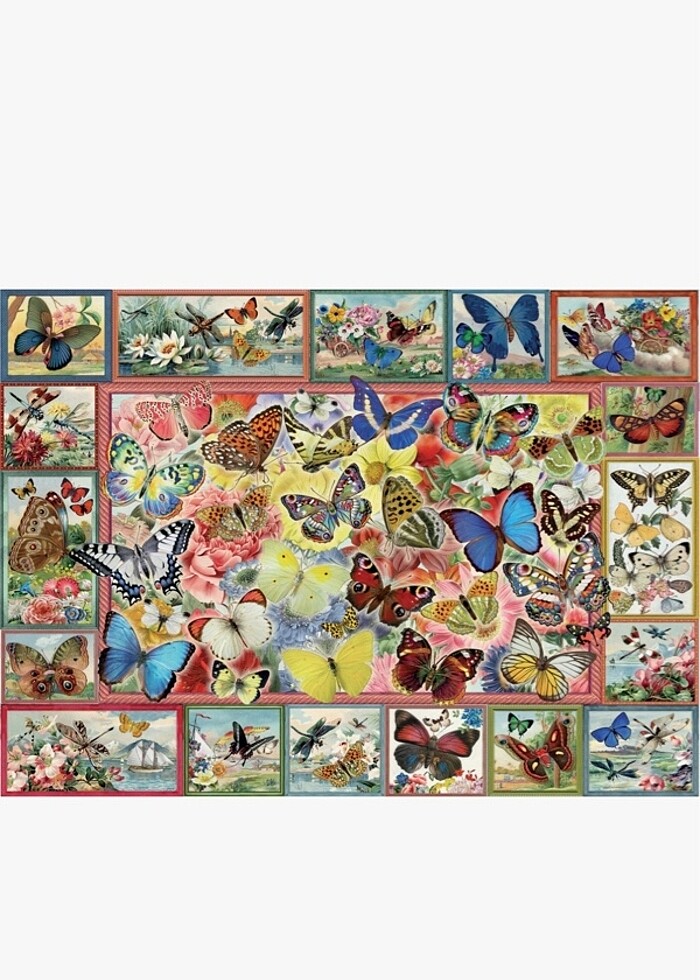 Anotalian 1000 parça puzzle Kelebekler - Görsel 2