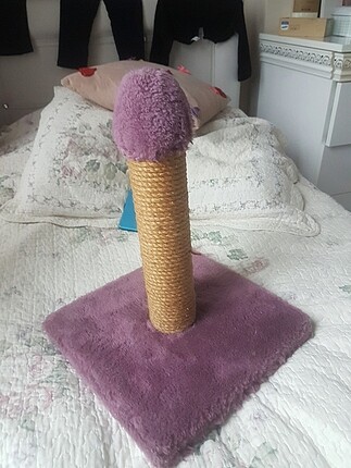 Kedi tirmalama tahtasi 
