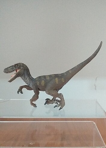Beden Schleich Velociraptor..!