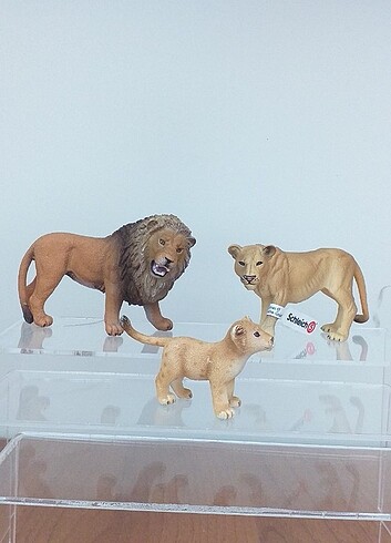 Schleich aslan ailesi..!