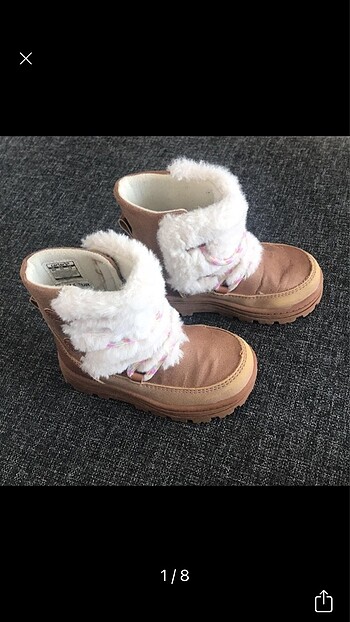Carters 22 Numara Bot