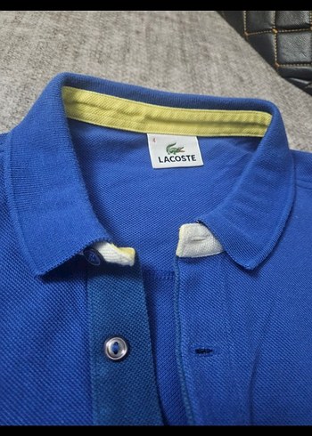 m Beden Lacoste Lacivert Kısa Kollu Polo Tişört