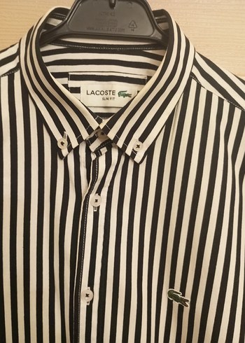 Yurtdışından orjinal Lacoste M beden cottondur ölçü açıklamada - Görsel 2