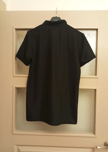 Zeloni Lbeden polo yaka tişört yepyeni ölçüleri açıklamada - Görsel 3