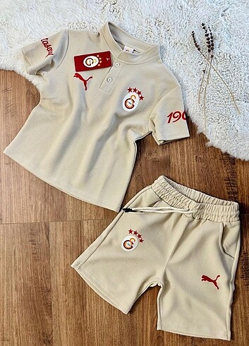 Diğer Galatasaray taraftar