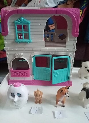 Çiftlik hayvanları çeşitleri 