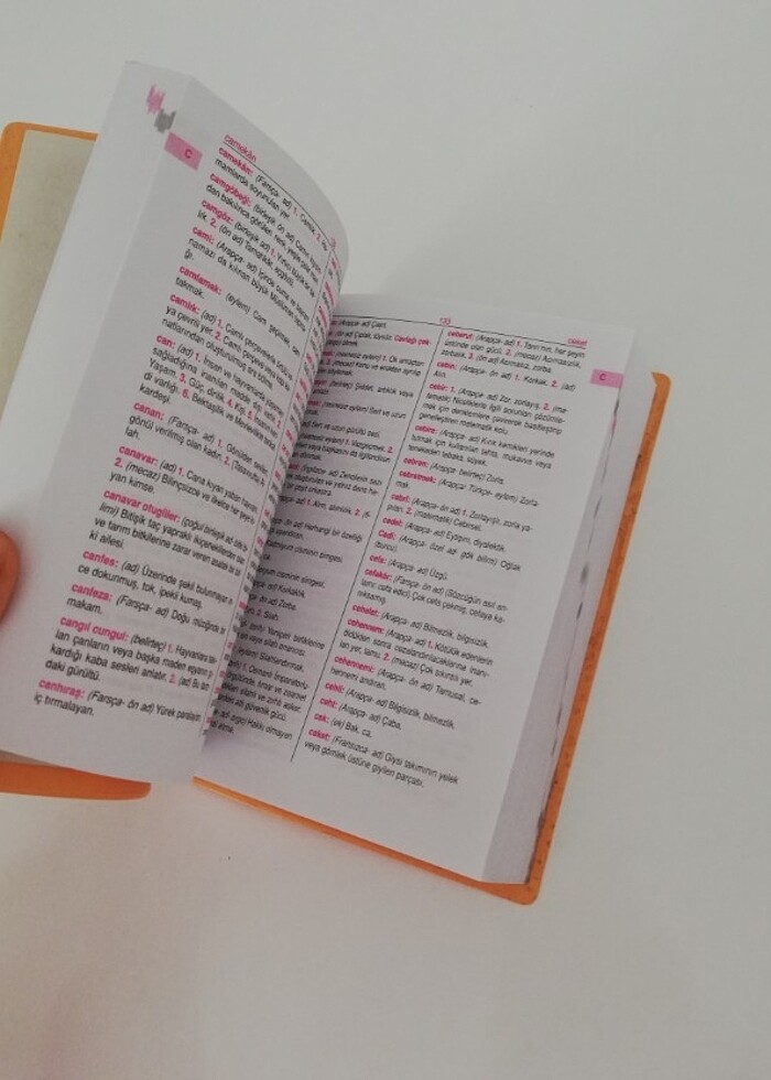 Büyük Türkçe Sözlük - Görsel 4