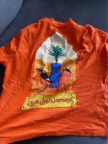 Les Benjamins les benjamins