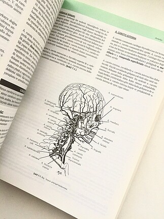  Sistematik anatomi konu kitabı