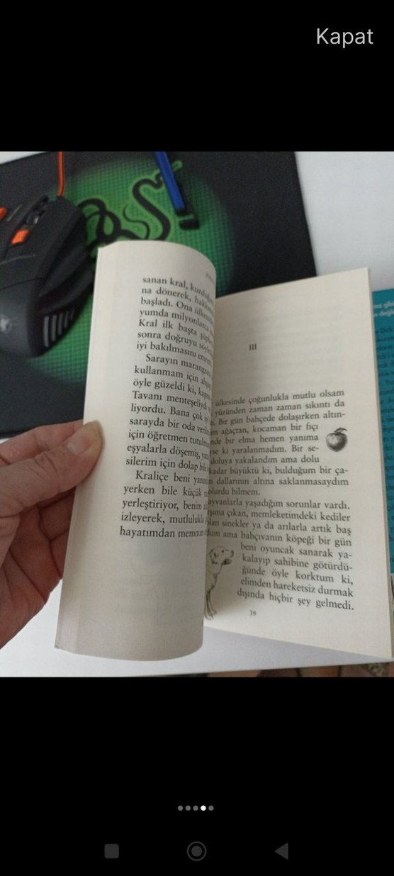 Kısaltılmış Çocuk Klasikleri Seti - Görsel 4