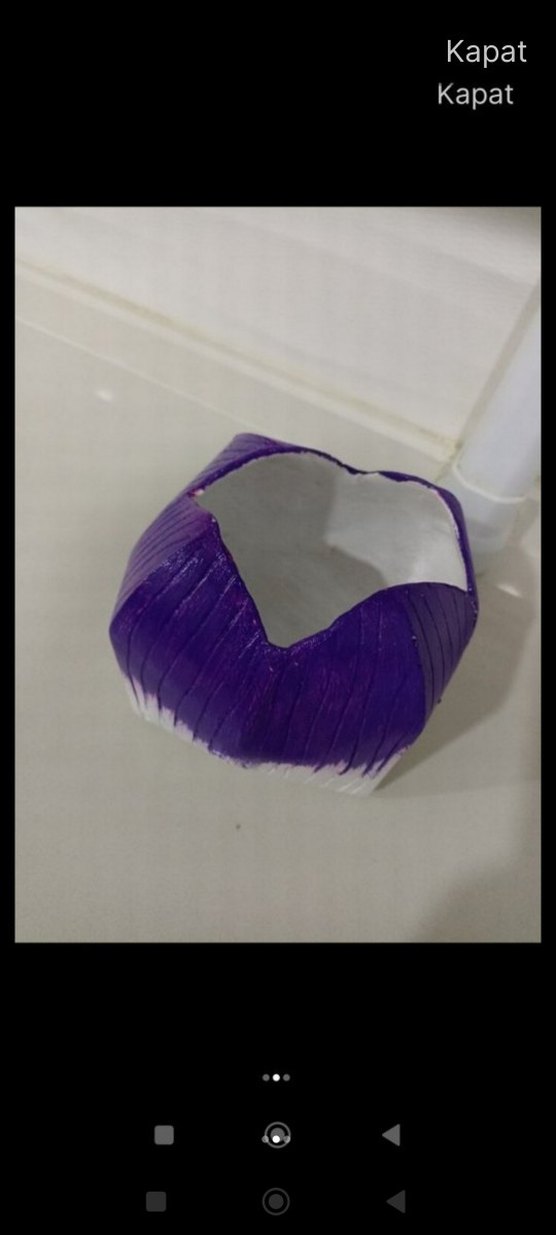 Mor Renkli Canlı Vazo - Görsel 2