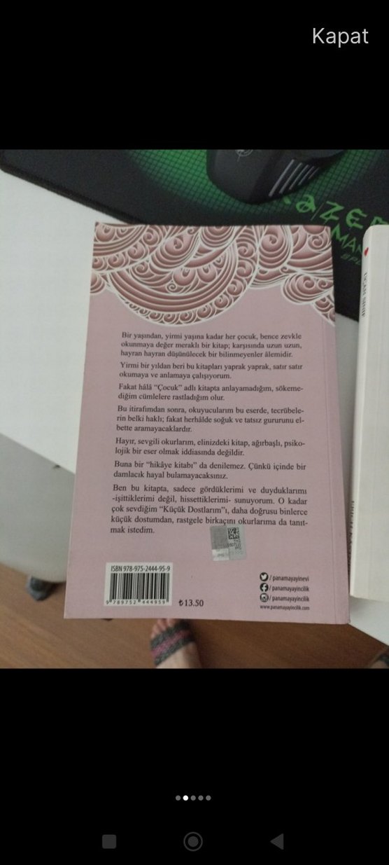 Halide Nusret Zorlutuna ve Uçan Sınıf Kitapları - Görsel 2