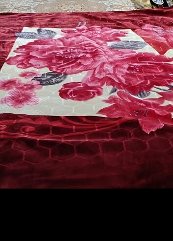 kadife bataniyelar - Görsel 7