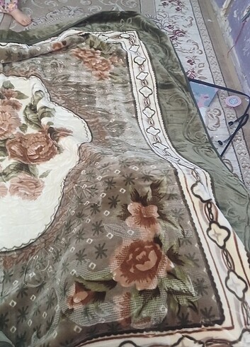 kadife bataniyelar - Görsel 8