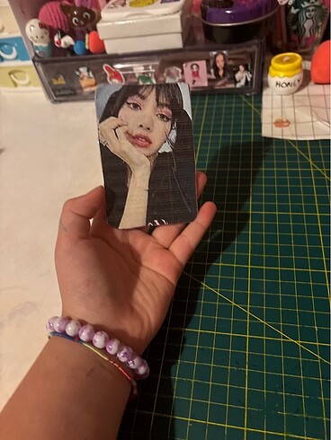 Diğer lisa fotokart