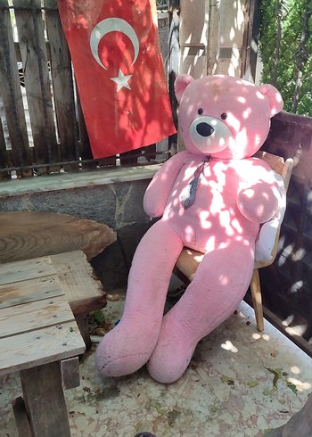 Pembe Peluş Oyuncak Ayı Bağlı Kravatlı