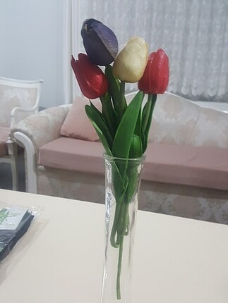 Cam 30 cmVazo