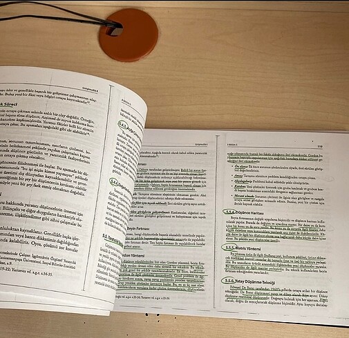  Beden Renk Girişimcilik