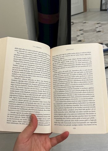 Çölde İsyan - Osmanlı Ortadoğu'yu Nasıl Kaybetti? - Görsel 3