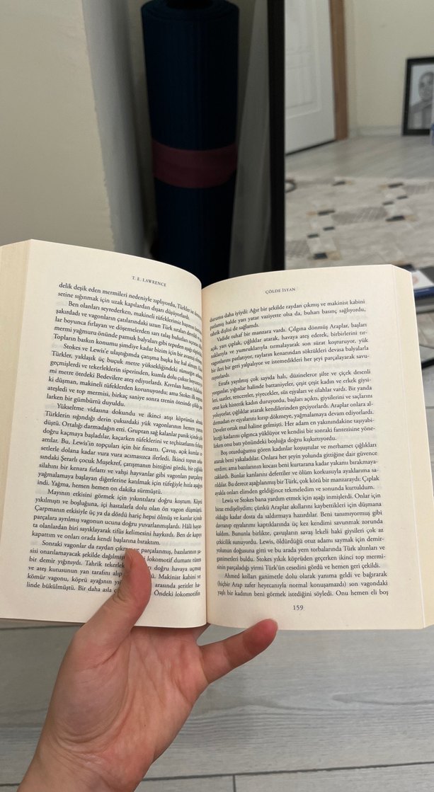 Çölde İsyan - Osmanlı Ortadoğu'yu Nasıl Kaybetti? - Görsel 3