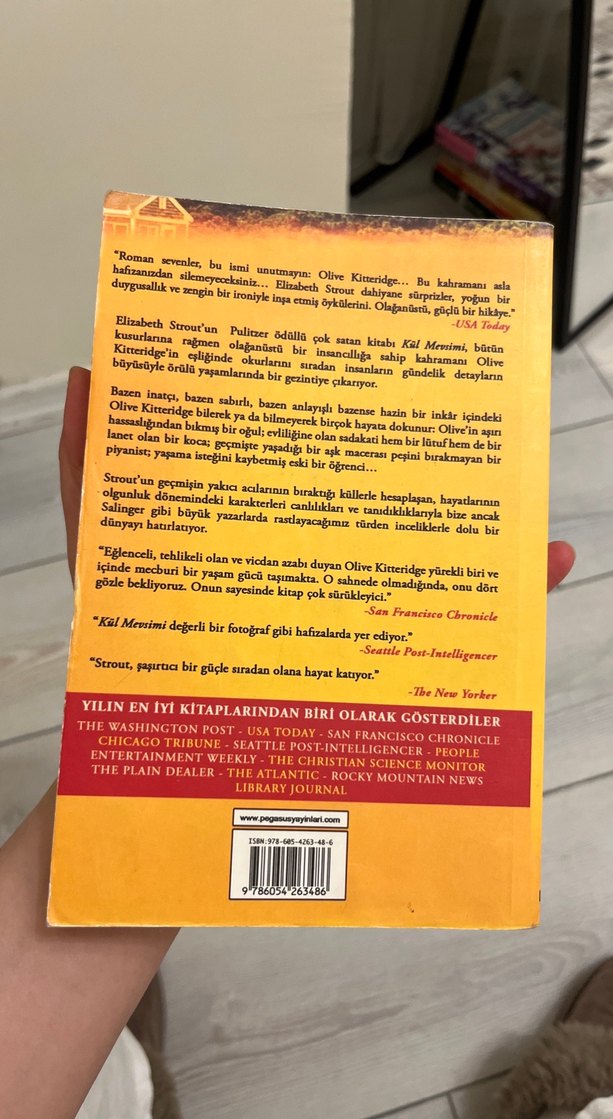 Kül Mevsimi - Elizabeth Strout - Görsel 2