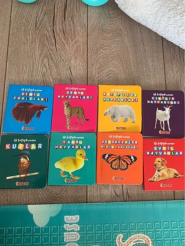 İlk kitaplarım eğitici set