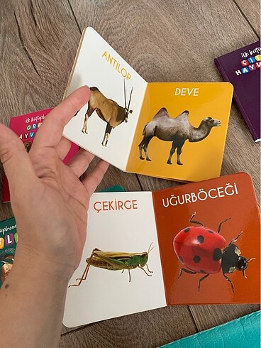 Beden Renk İlk kitaplarım eğitici set