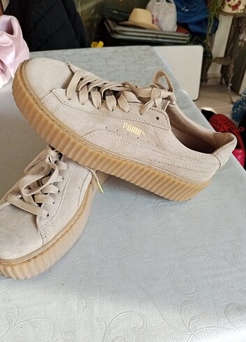 Puma suet 
