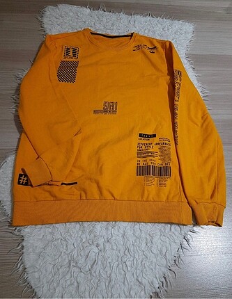 Erkek sweat
