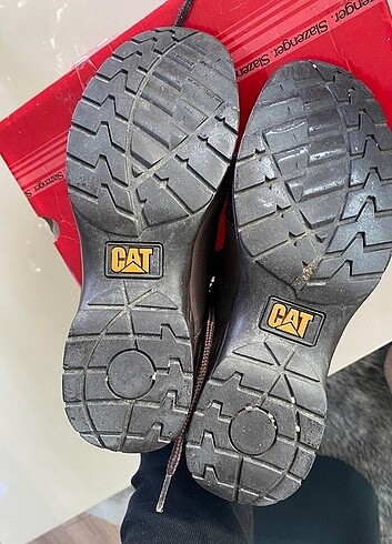 Cat CAT BOT