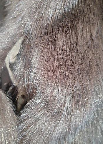 Kahverengi Kürklü Kadın Mont - Görsel 7