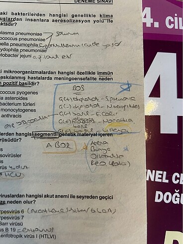 Beden Renk Tus 41 deneme