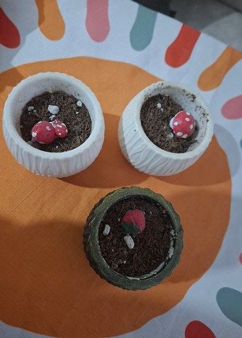 El Yapımı Bohem Mini Mantar Saksılar