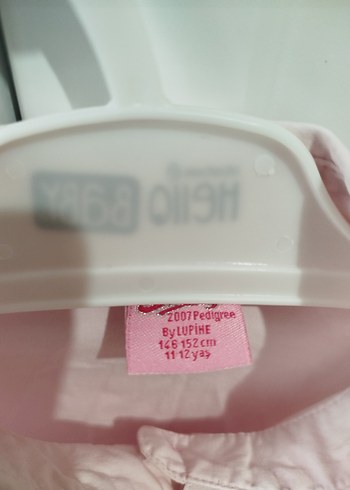 Pembe Uzun Kollu Pamuklu Kız Çocuk Gömlek - Görsel 3