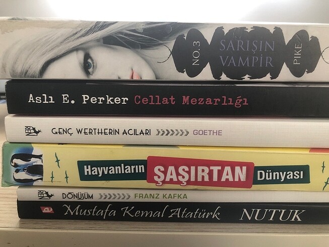 6 kitap
