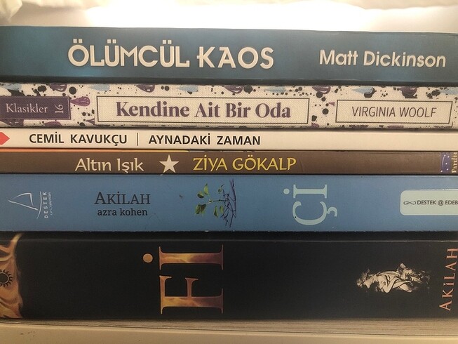 6 kitap