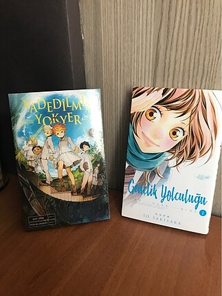 Gençlik Yolculuğu/ Vadedilmiş Yokyer
